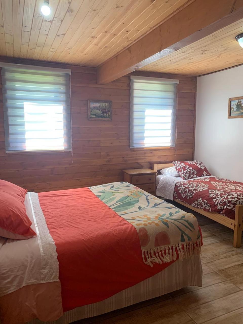 Hostal Tour Pucón المظهر الخارجي الصورة